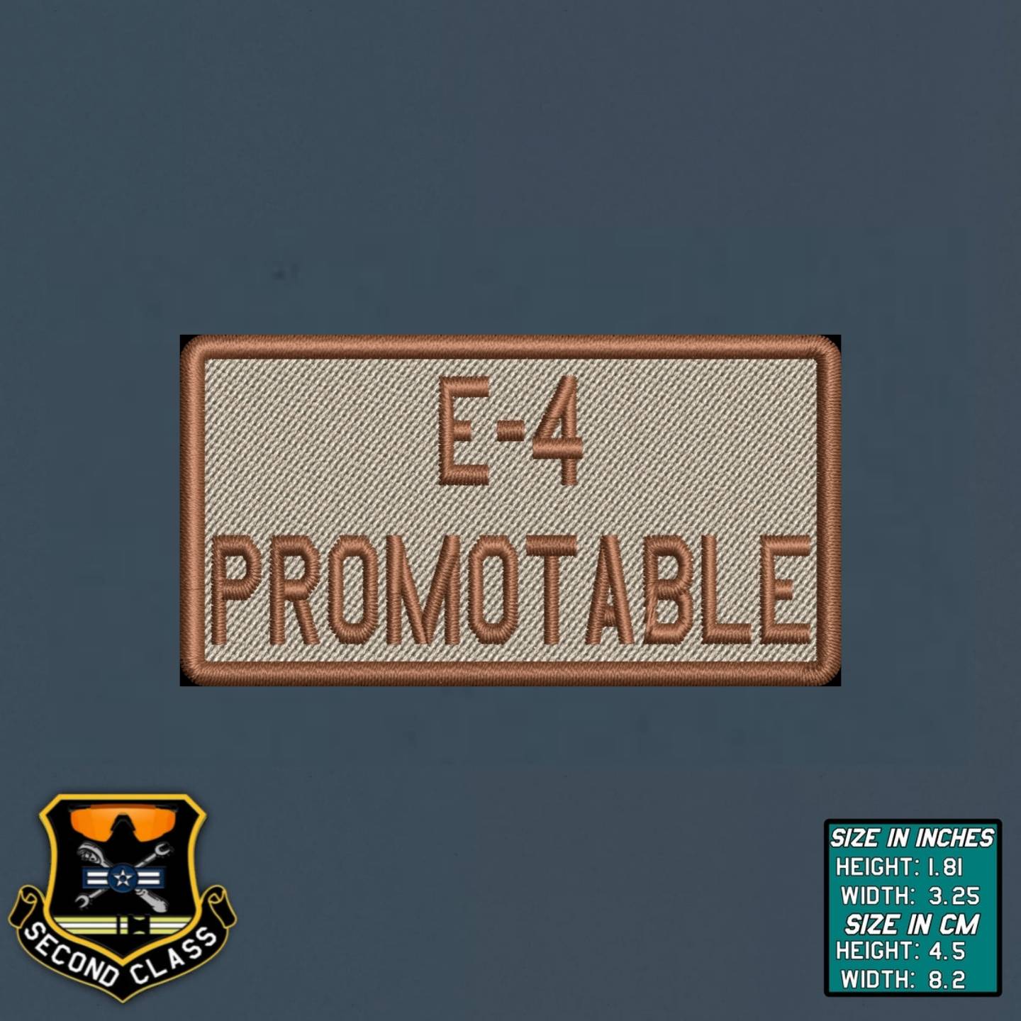 E-4 PROMOTABLE Morale Patch